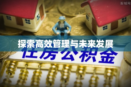 佛冈探索高效管理与未来发展